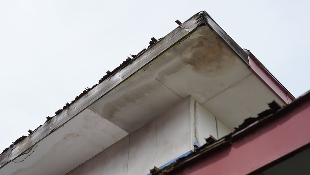 屋根の雨漏りイメージ